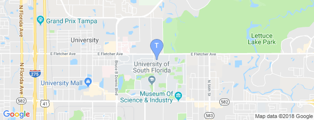 The Yuengling Center